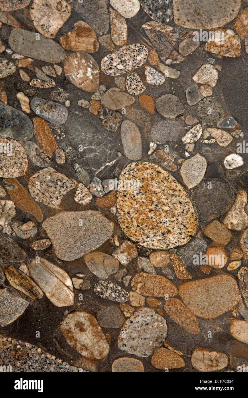 conglomerate, polymictic, sedimentary rock, slab, Brazil Stock Photo