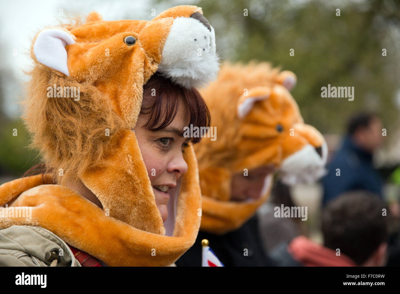 London, UK. 28th Nov, 2015. Protesters wearing lion's head costumes on the March for Cecil in London against canned and trophy hunting. Credit:  Mark Kerrison/Alamy Live News Stock Photo