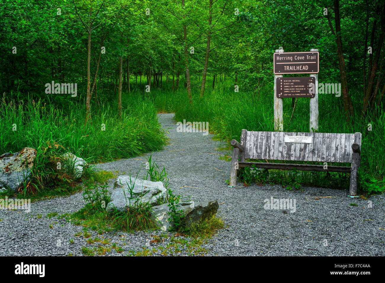 Sitka ranger districet hires stock photography and images Alamy