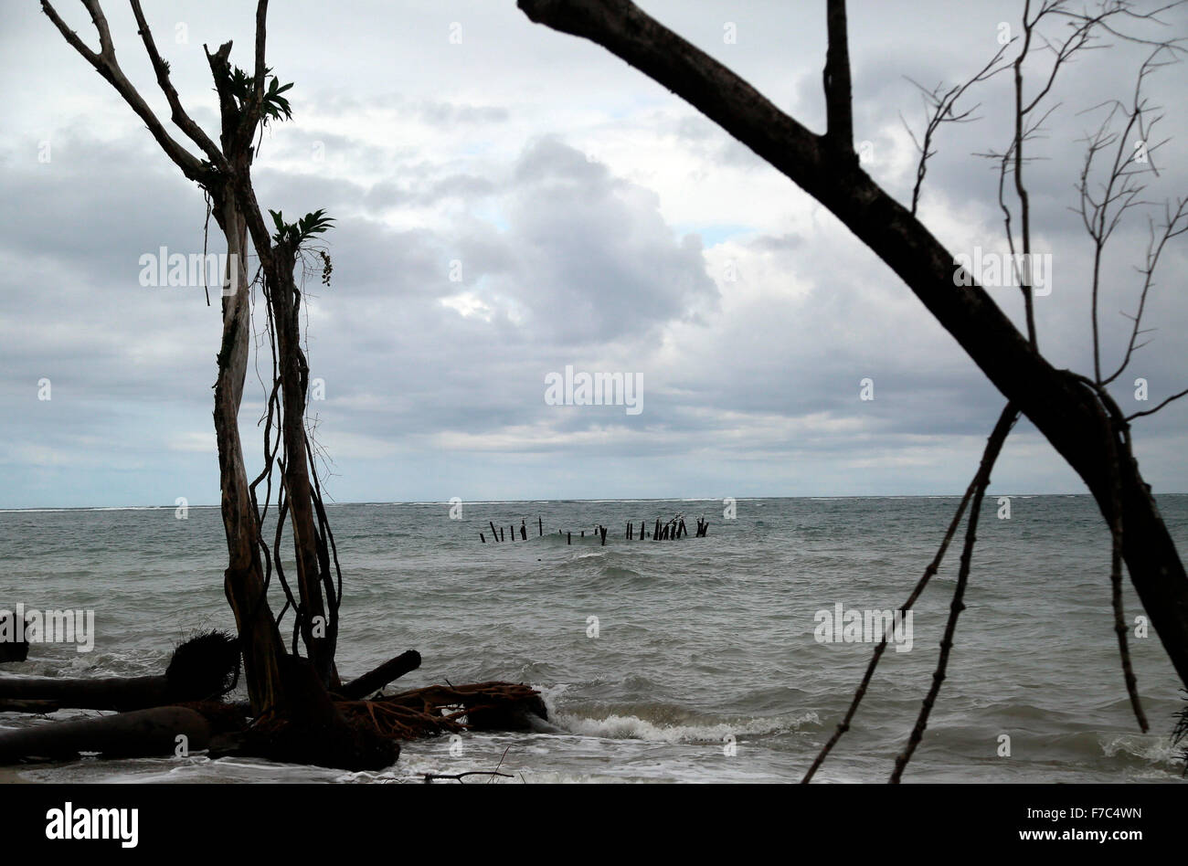 (151129) -- LIMON, Nov. 29, 2015 (Xinhua) -- Image taken on Nov. 24, 2015 shows dead trees and an abandoned dock on a beach of Cahuita National Park, in Limon Province, southern Costa Rica. According to the ranger Cristian Brenes, rising sea levels and strong waves due to climate change have removed nearly 50 meters of beach along the coast of Cahuita National Park. The case of Cahuita National Park is not the only one in Costa Rica, which has 1,290km of coastline. More than 40 percent of Costa Rican beaches have erosion, a process that has accelerated in the last 10 years, according to report Stock Photo