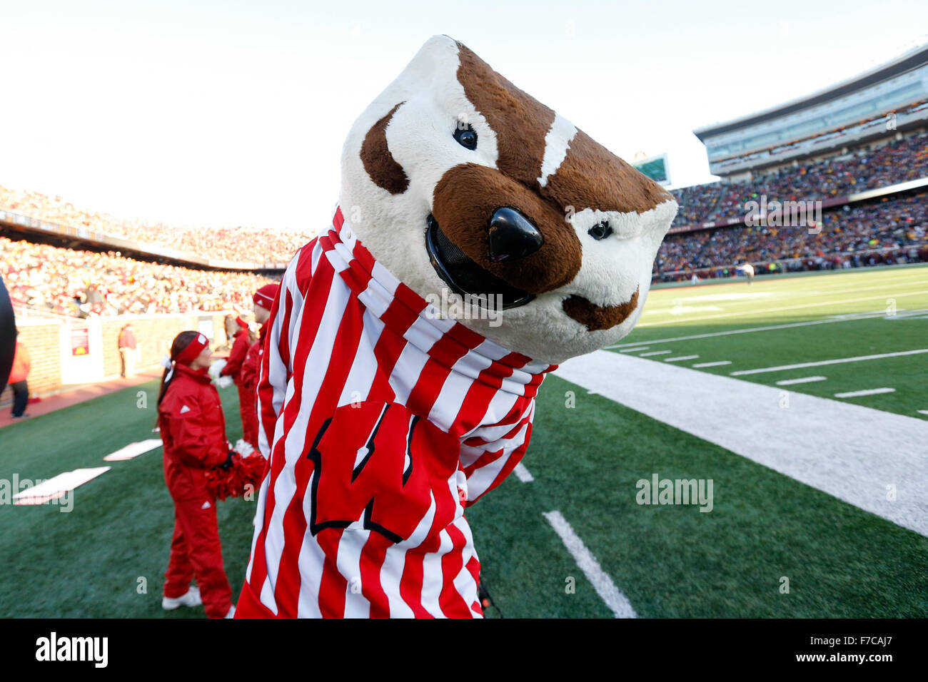 Wisconsin badgers mascot bucky badger hires stock photography and
