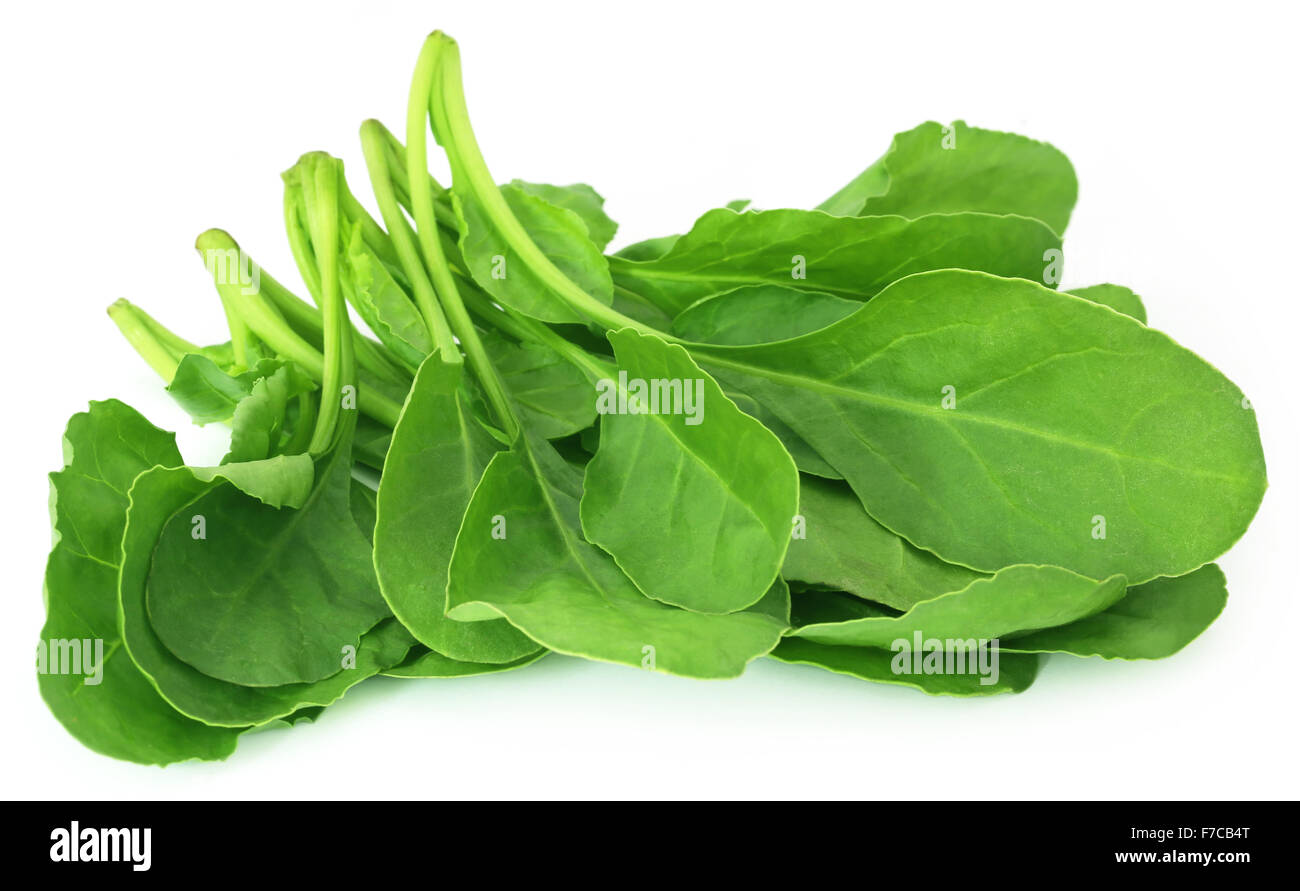 https://c8.alamy.com/comp/F7CB4T/fresh-spinach-over-white-background-F7CB4T.jpg