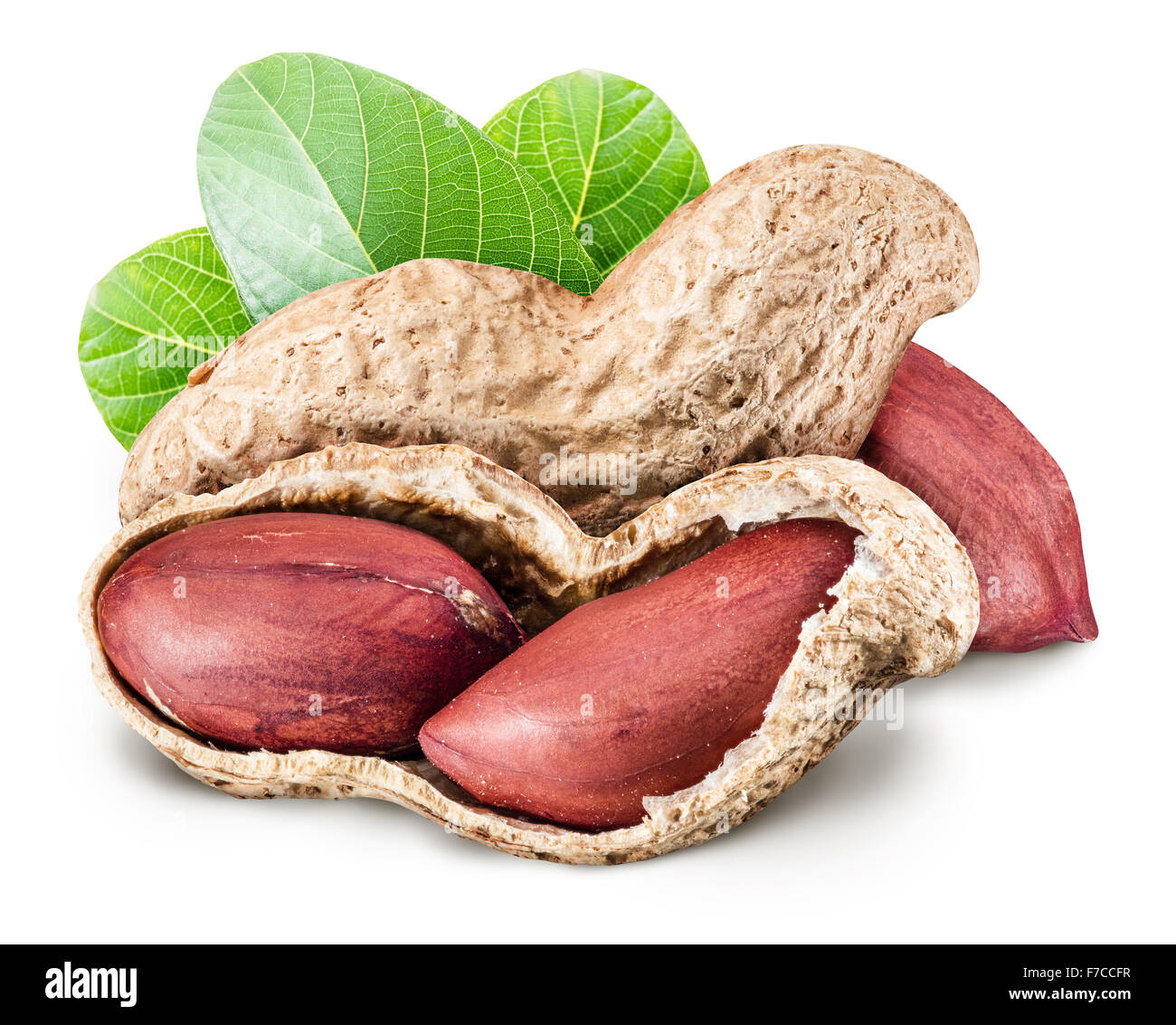 Peanuts With Leaves File Contains Clipping Paths Stock Photo Alamy Peanuts With Leaves File Contains Clipping Paths Stock Photo Alamy