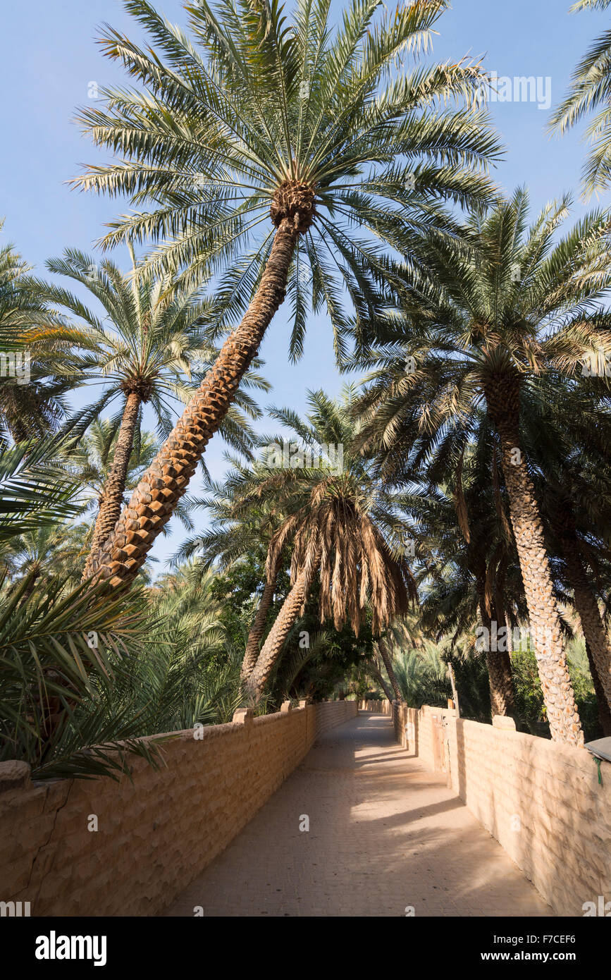 Other Abu Dhabi Cities: