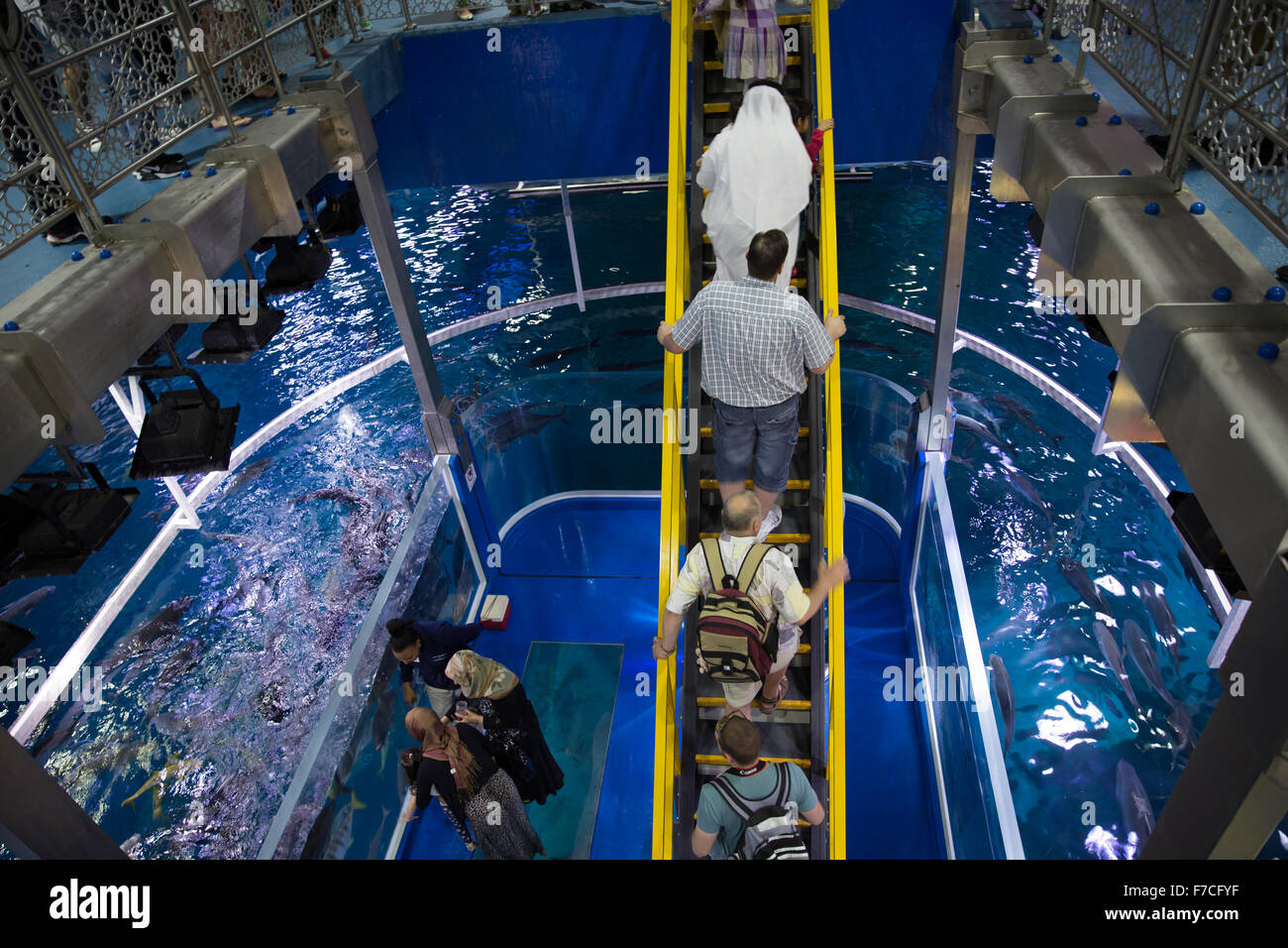 Dubai Aquarium And Underwater Zoo Part Of Dubai Mall In Dubai