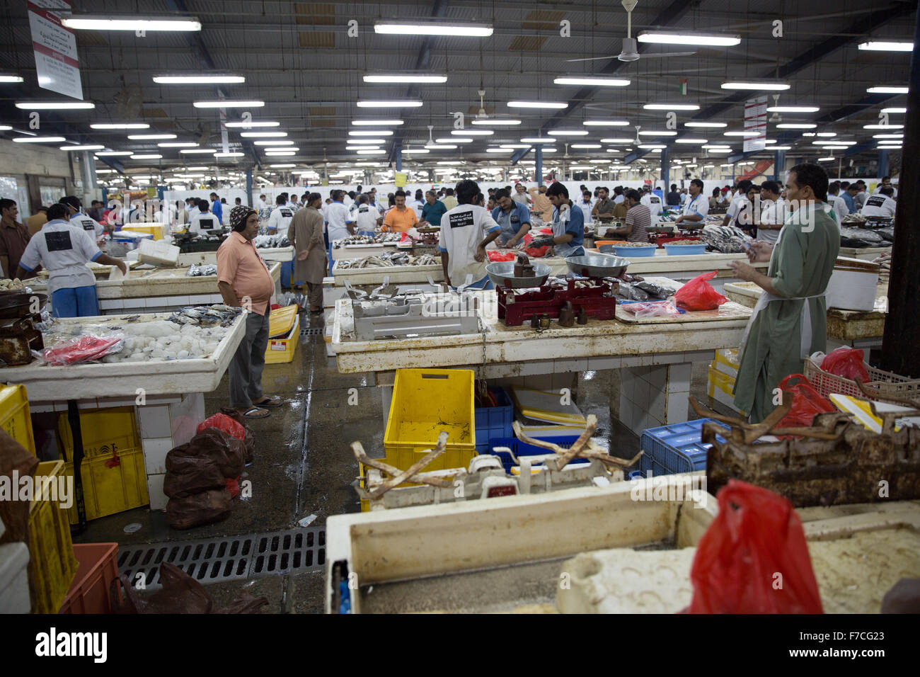 Deira Fish Market Dubai Stock Photo Alamy