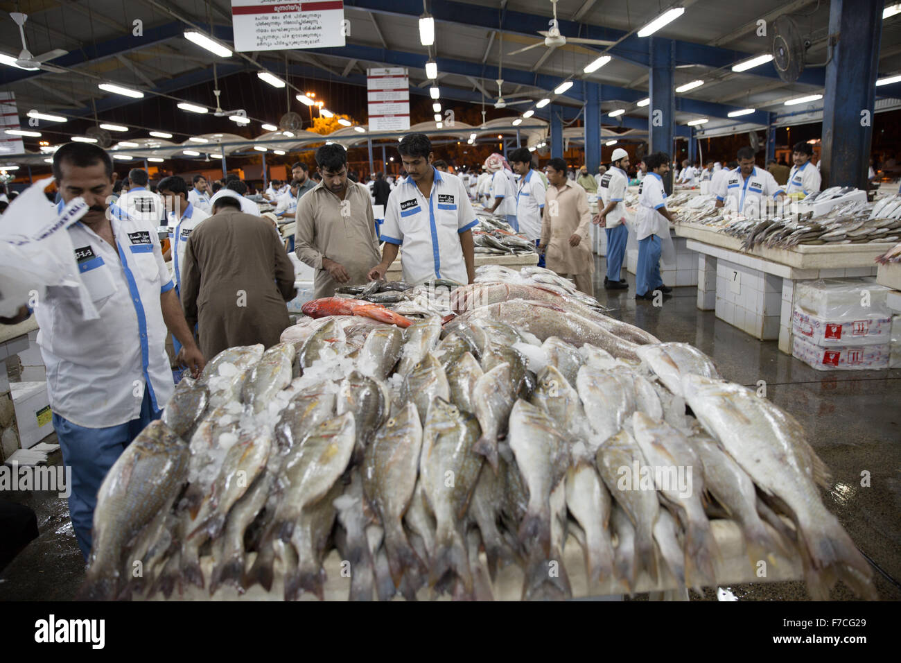 Deira Fish Market Dubai Stock Photo Alamy