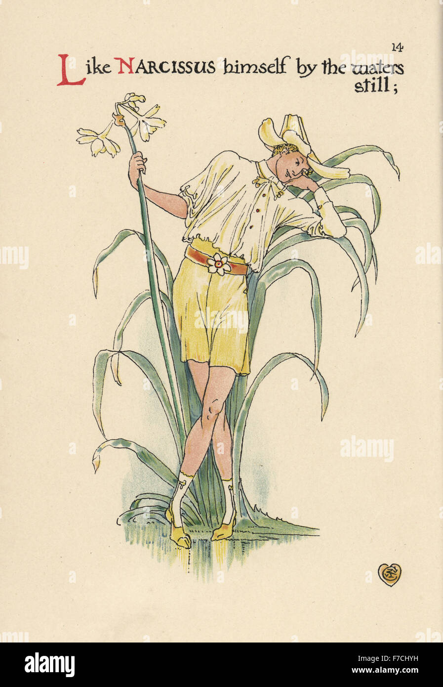 Flower fairy of jonquil daffodil, Narcissus jonquilla, as a young man staring into a pond. Stock Photo