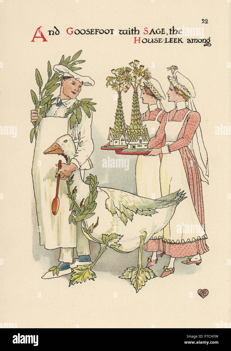 Flower fairies of goosefoot, Chenopodium album, as a chef in apron with ladle, sage, Salvia officinalis, and houseleek, Sempervivum tectorum, as maids. Chromolithograph after an illustration by Walter Crane from A Flower Wedding, Cassell, London, 1905. Stock Photo