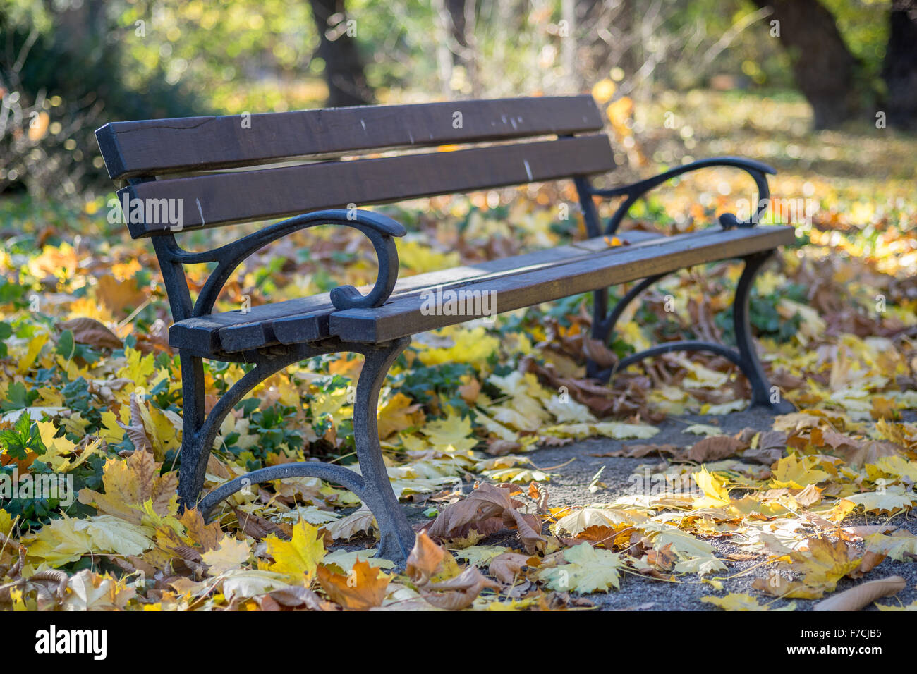 Bench covered with fallen autumn leaves Stock Photo