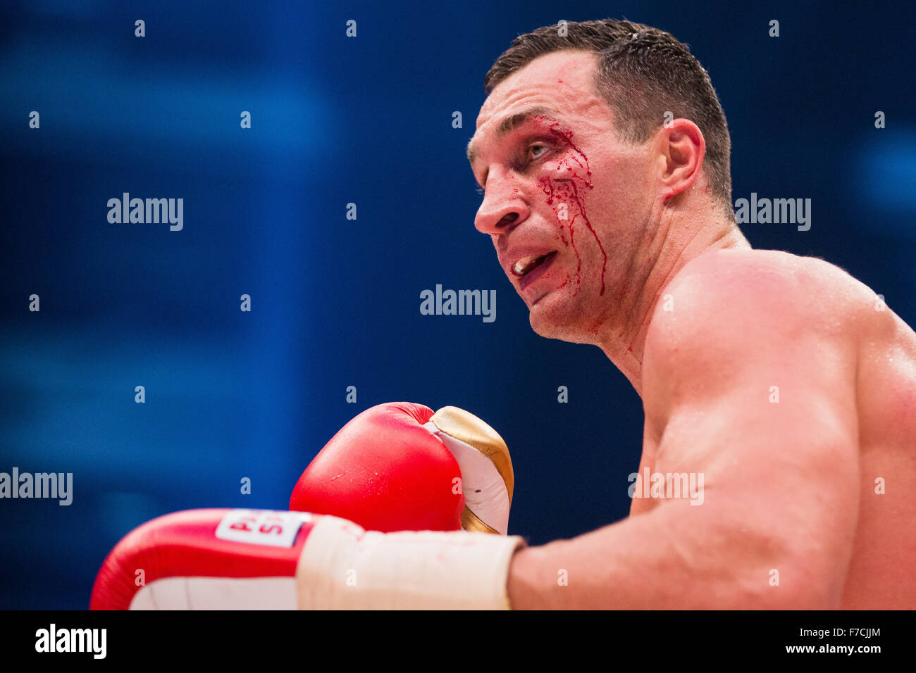 Dusseldorf, Germany. 29th Nov, 2015. Duesseldorf, Germany. 28th Nov, 2015.  Ukrainian heavyweight boxer Vladimir Klitschko in action against British  boxer Tyson Fury (not pictured) at the Esprit Arena in Duesseldorf,  Germany, 28