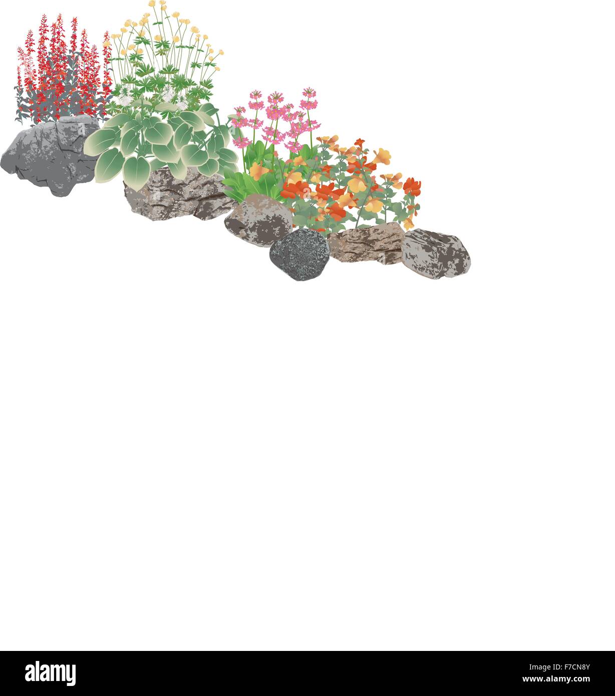 rockery edging plants Stock Vector Image & Art - Alamy