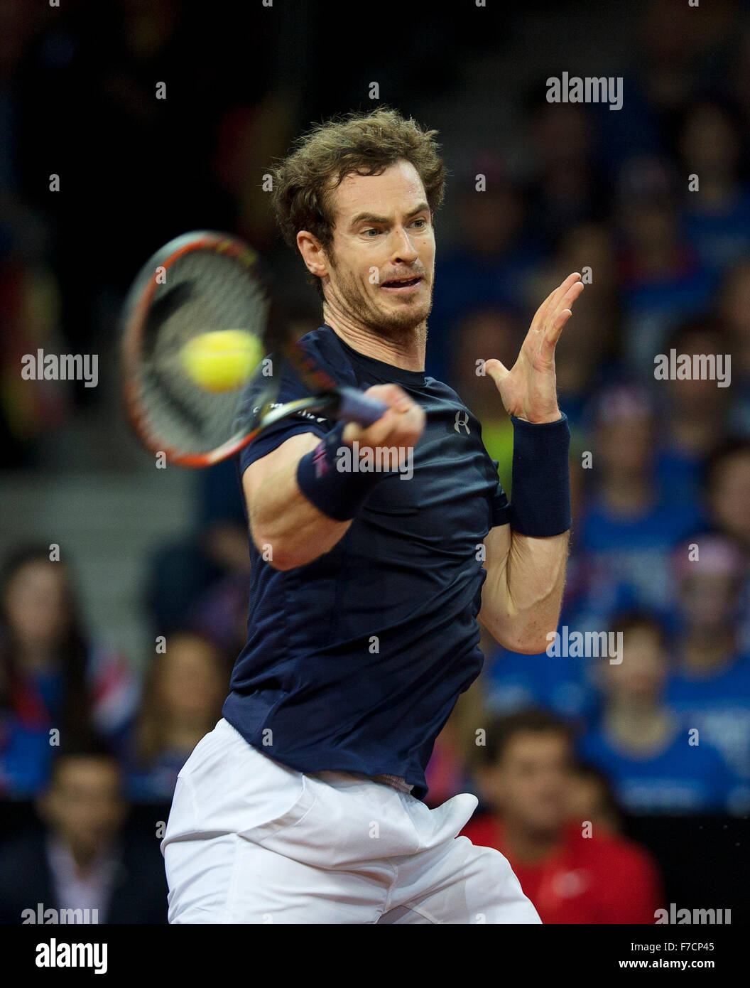 Gent, Belgium, November 29, 2015, Davis Cup Final, Belgium-Great Britain, day three, Andy Murray (GBR)  Photo: Tennisimages/Henk Koster/Alamy Live News Stock Photo