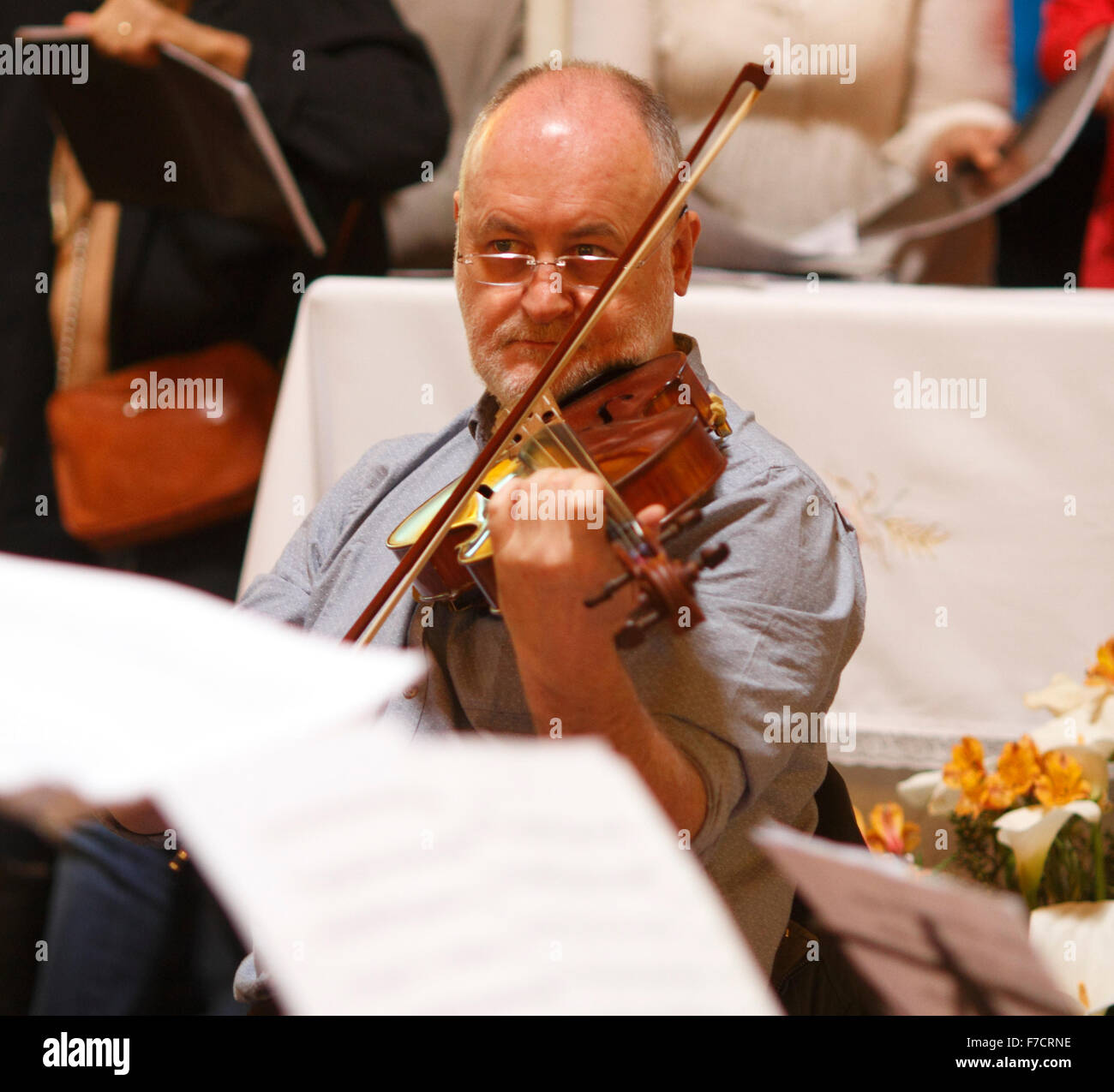 Viola player in rehearsal Stock Photo Alamy