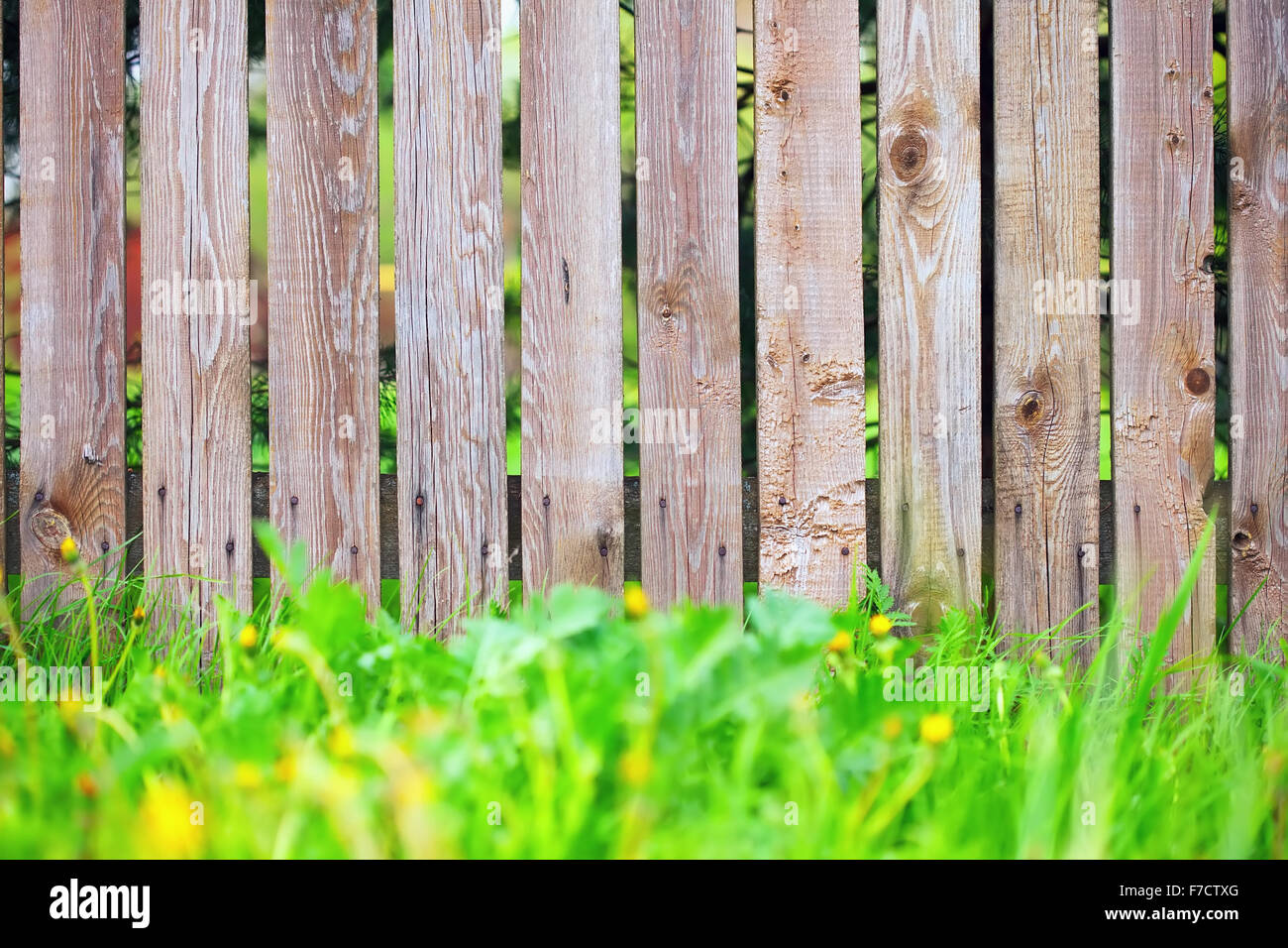 Focus on fence hi-res stock photography and images - Alamy