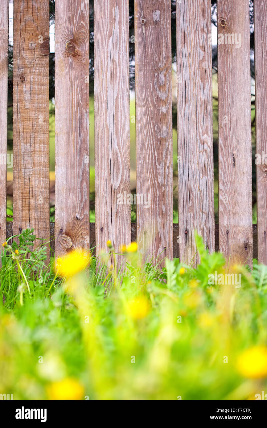 wooden fence background with green grass border Stock Photo - Alamy