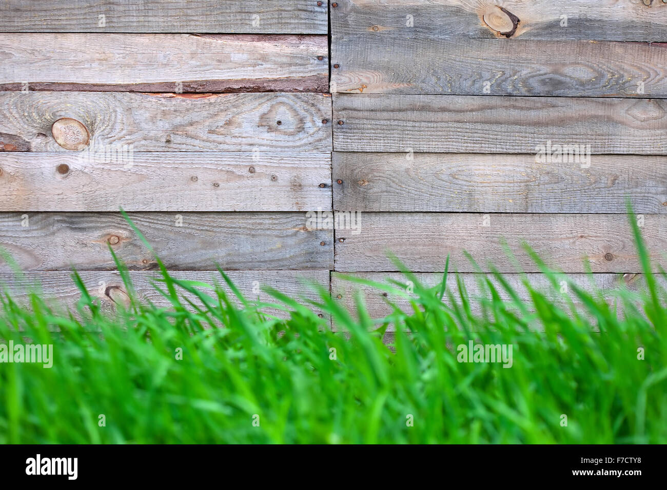 wooden fence background with green grass border Stock Photo - Alamy