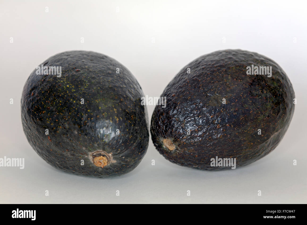 Two whole avocados Stock Photo