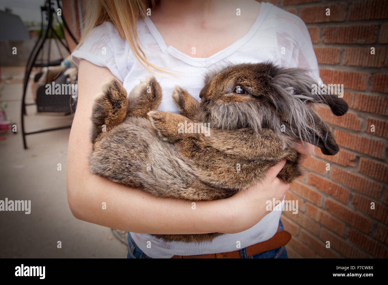 Close up of girl holding a rabbit. Stock Photo