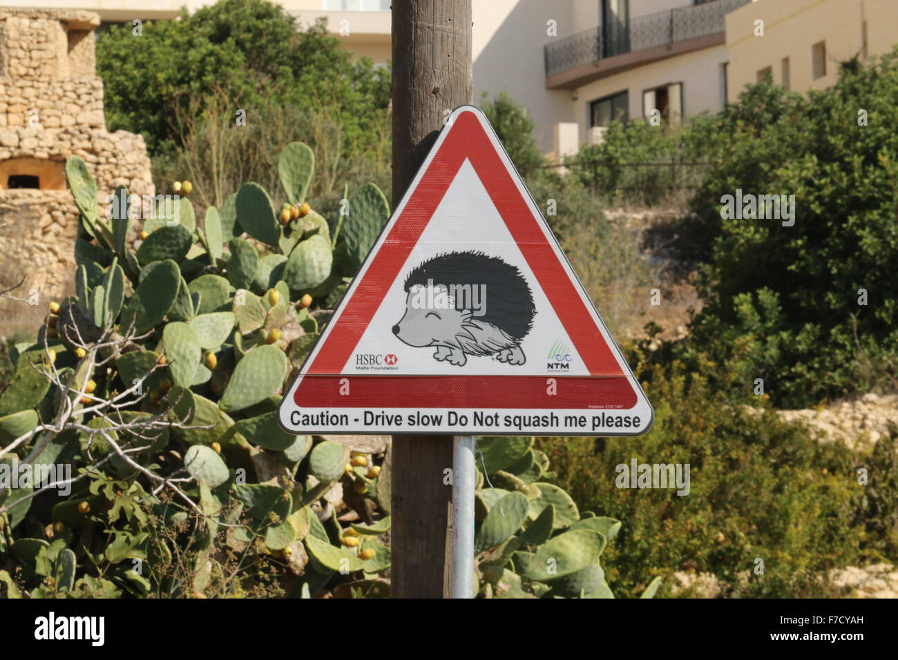 Road sign in Malta warning about hedgehogs Stock Photo Alamy
