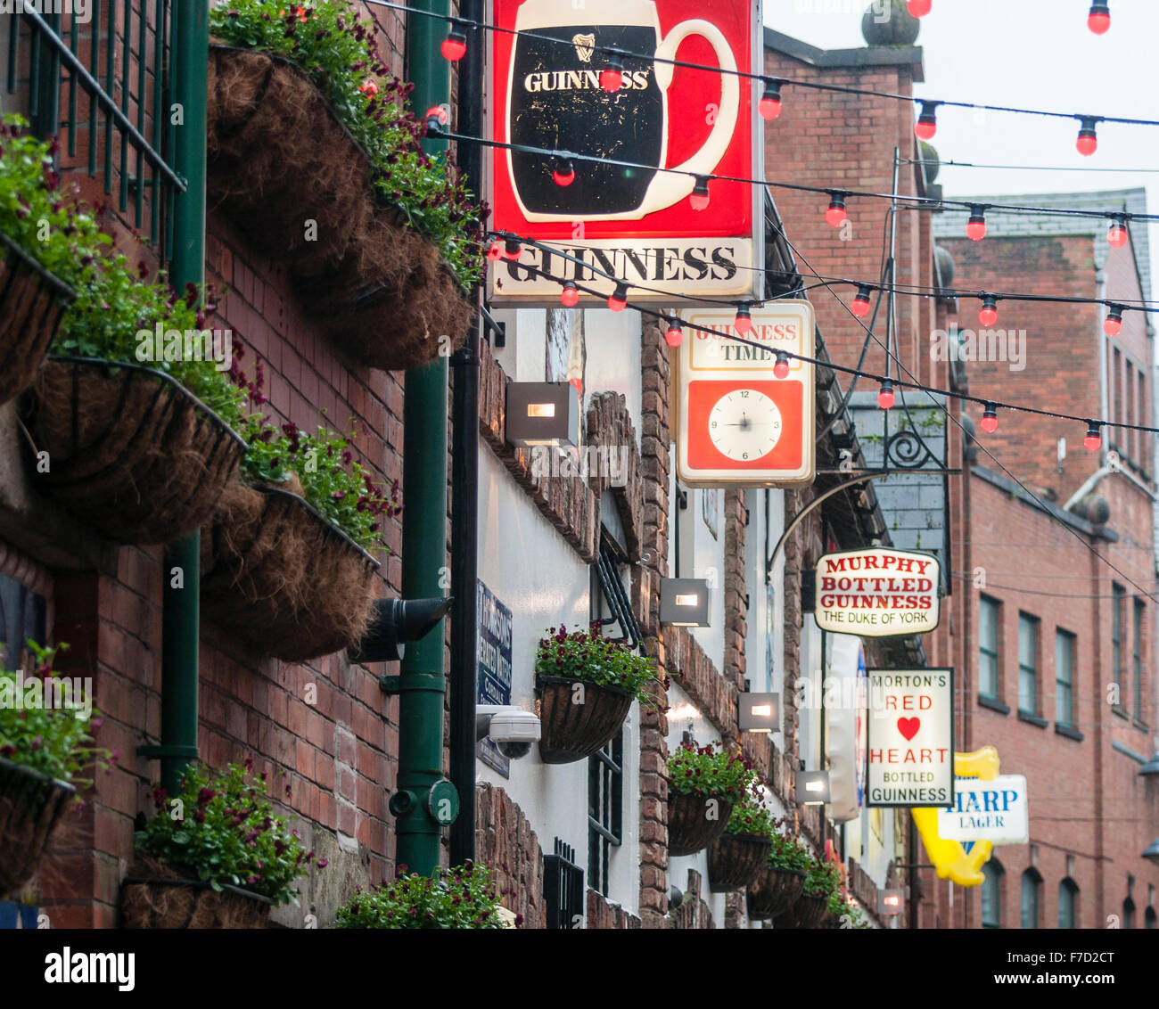 Signs advertising Guinness and other beers at the Duke of York pub in Belfast Stock Photo