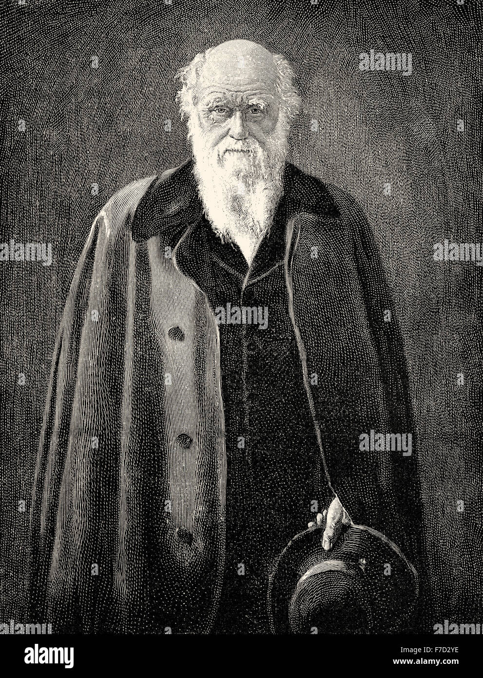 Charles Robert Darwin, 1809 - 1882, a British naturalist, evolutionary theory, Stock Photo