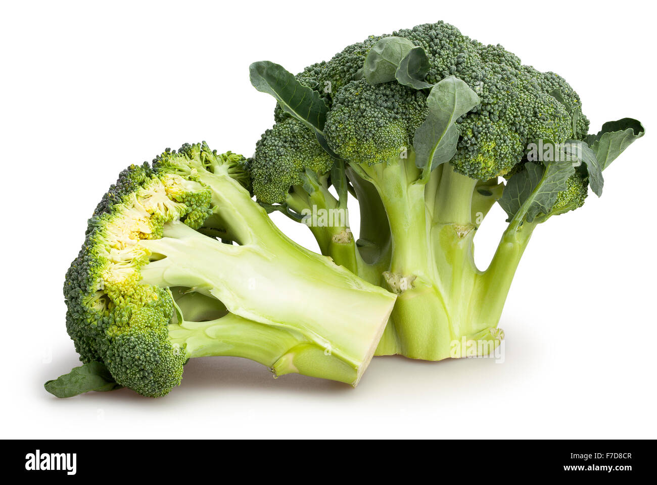 broccoli isolated Stock Photo