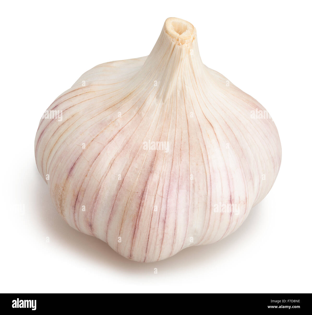 garlic isolated Stock Photo