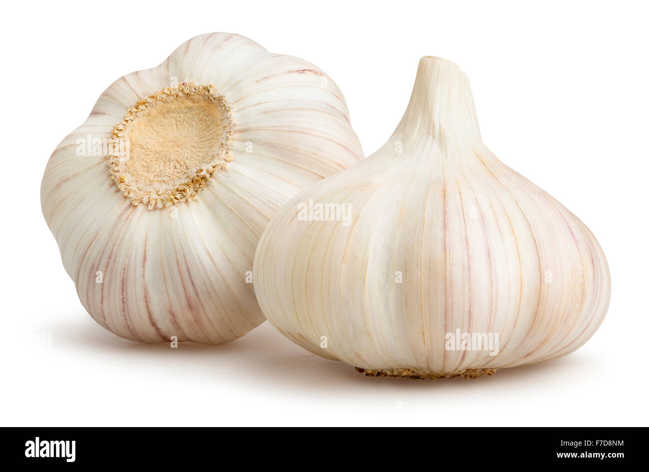 garlic isolated Stock Photo