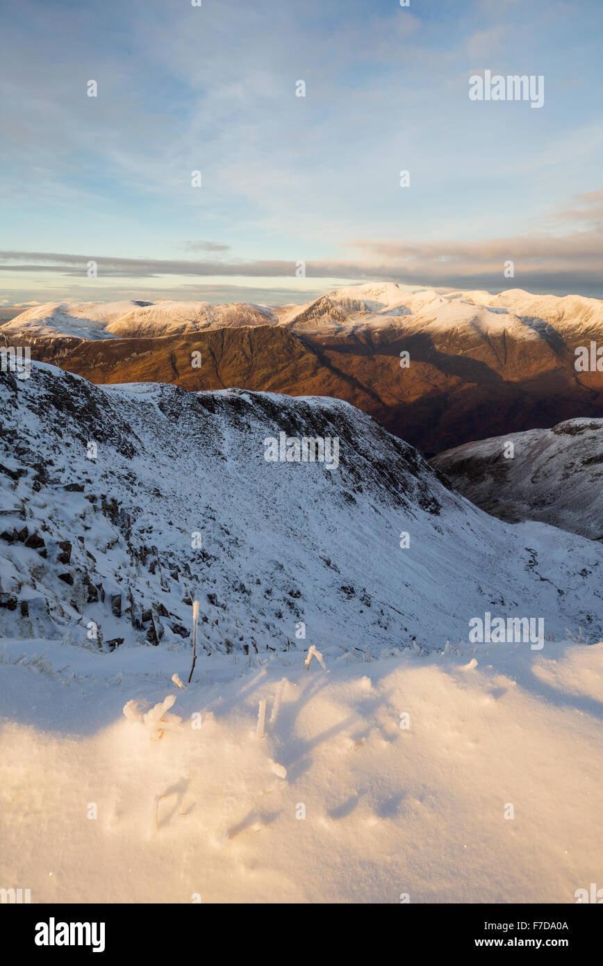 A few snow-covered plants on the summit of Sgorr nam Fiannaidh with the Mamores and Ben Nevis as backdrop, Scotland Stock Photo