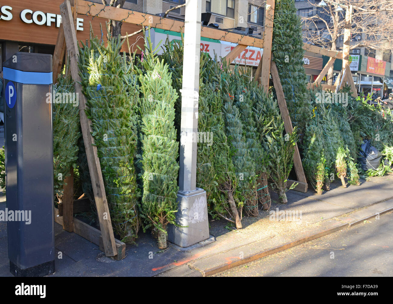 Vendors selling Christmas Trees on the streets of New York Stock Photo Alamy
