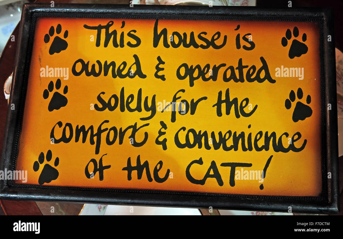 This house is owned and operated solely for the comfort & Convenience of the cat - cats rule Stock Photo