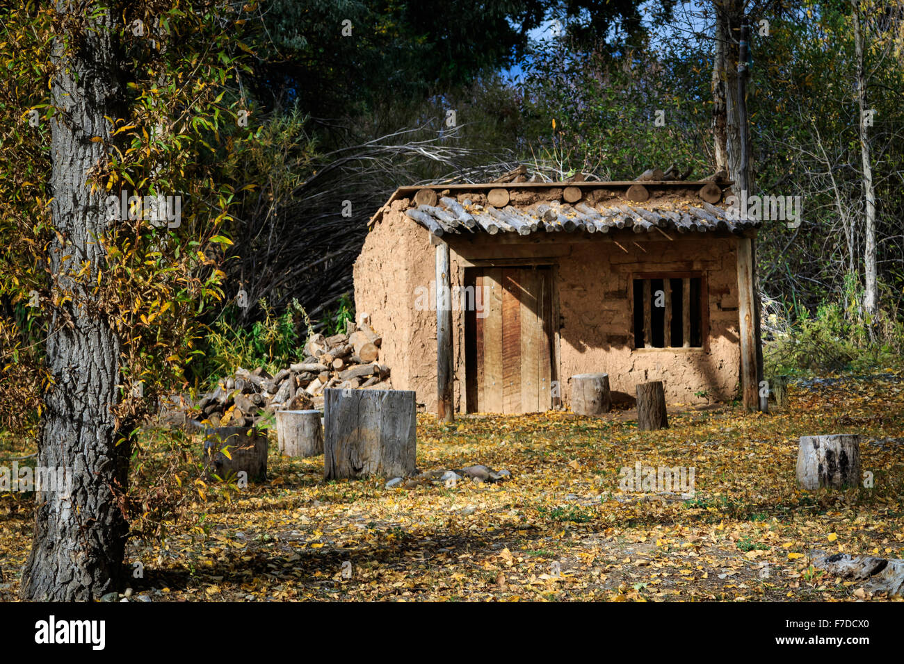 A Small Rustic Cabin On The Grounds Of La Hacienda Del Los