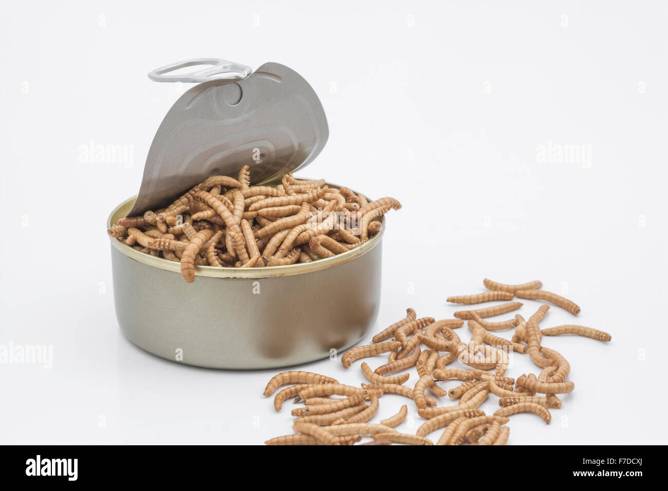 Open a can of worms metaphor hires stock photography and images Alamy