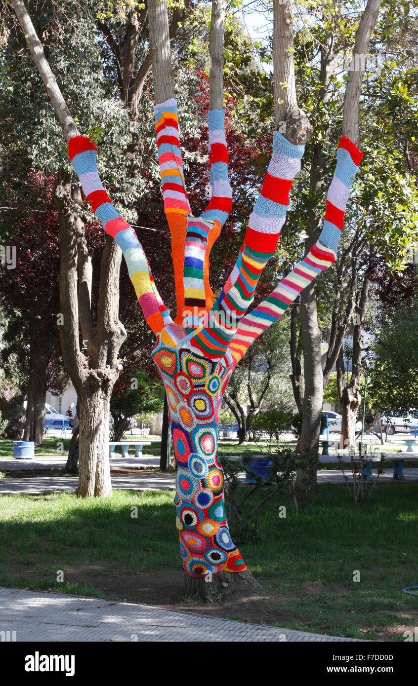 patchwork knitted crochet covered tree for warmth, protection and decoration. sleeves sleeves Stock Photo