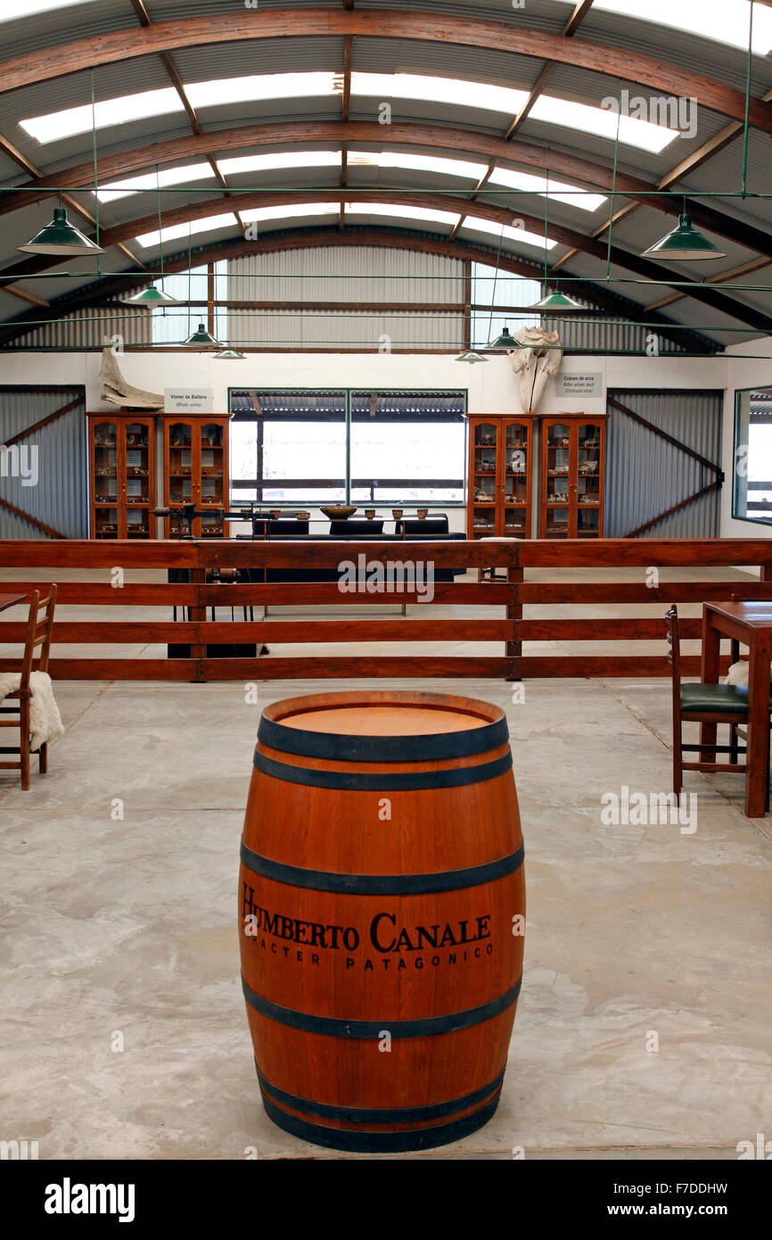 Wine barrel from the Humberto Canale winery in the middle of a converted wool warehouse. Chubut Patagonia Argentina Stock Photo