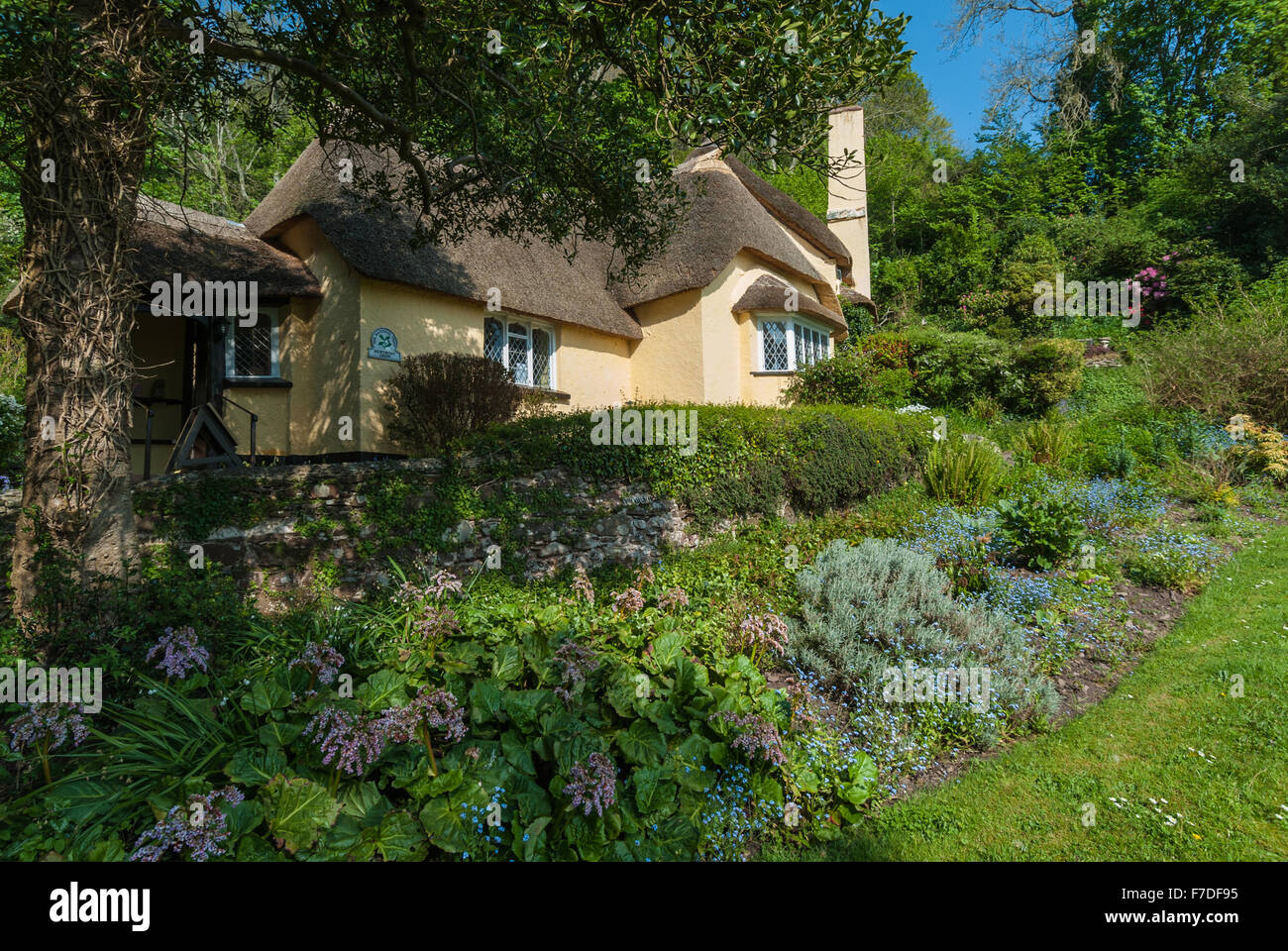 Thatched cottage in the village of Selworthy on the National Trust
