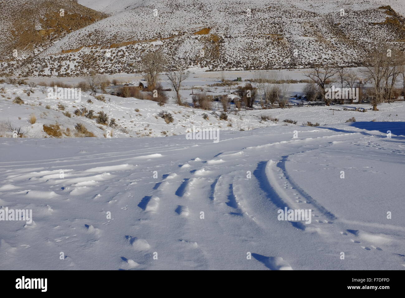 Winter snow scenes with animal tracks and frost in the trees; snow on a rural road Stock Photo