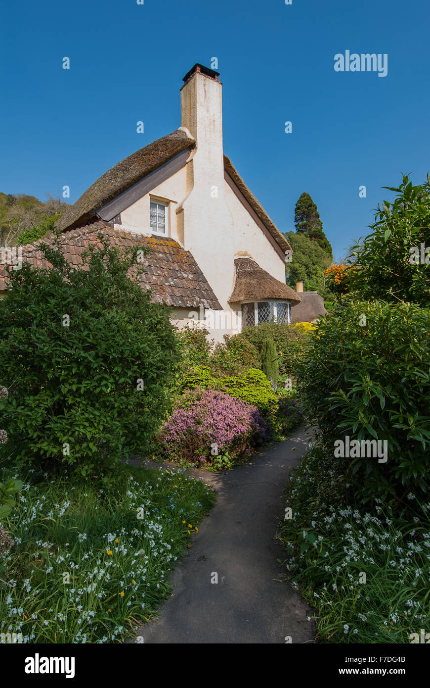 Thatched cottage in the village of Selworthy on the National Trust