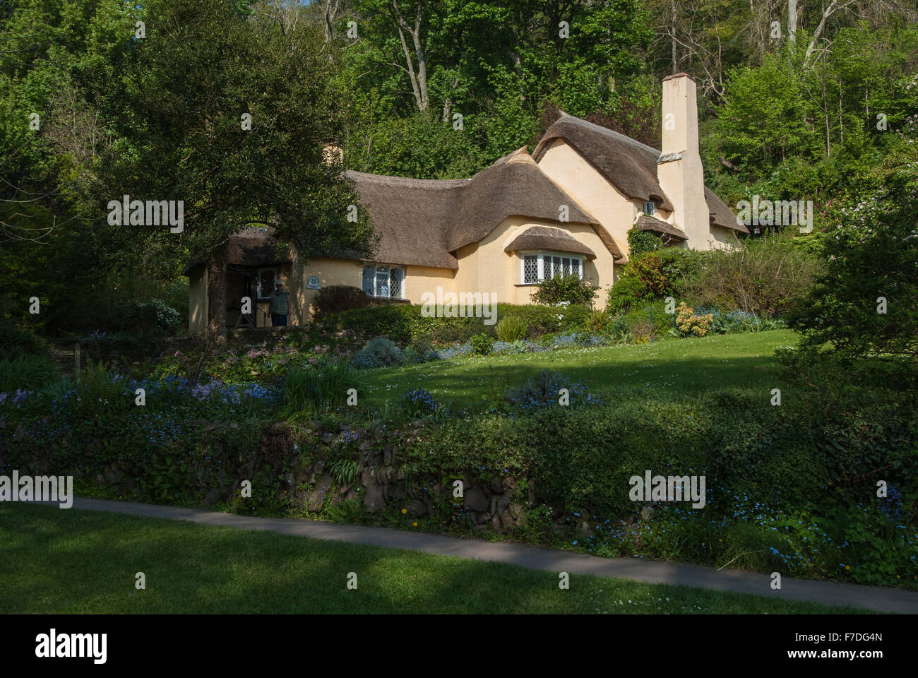 Thatched cottage in the village of Selworthy on the National Trust