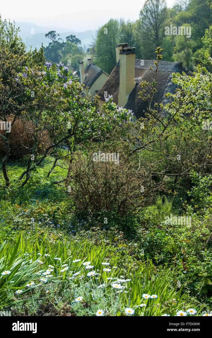 Selworthy somerset england hires stock photography and images Alamy