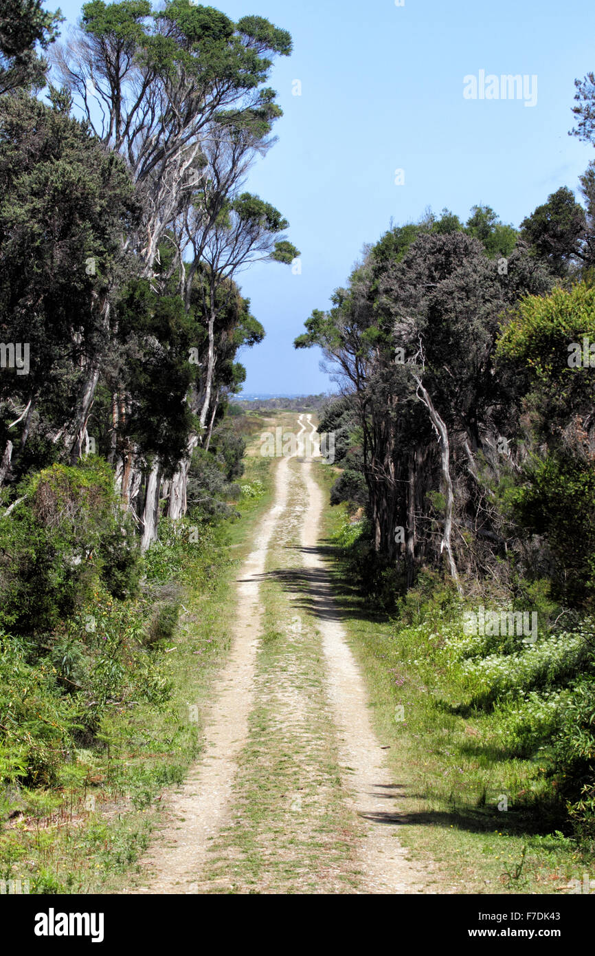 Cotters Lake Track in the Wilsons Promontory Nationalpark, Victoria, Australia. Stock Photo
