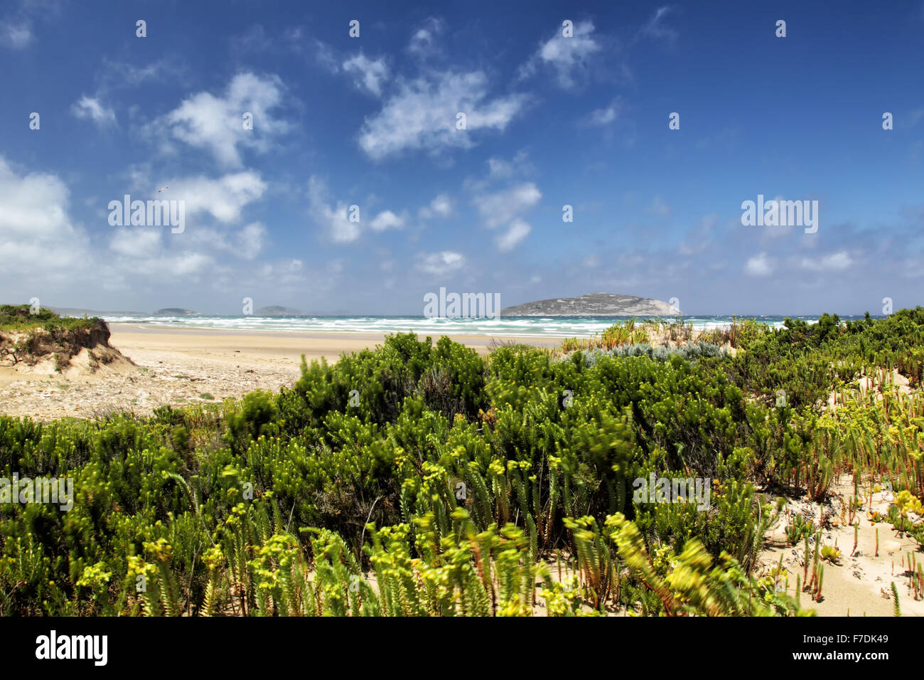 Coastal landscape in the Wilsons Promontory National Park, Victoria, Australia, with Shellback Island in the background. Stock Photo