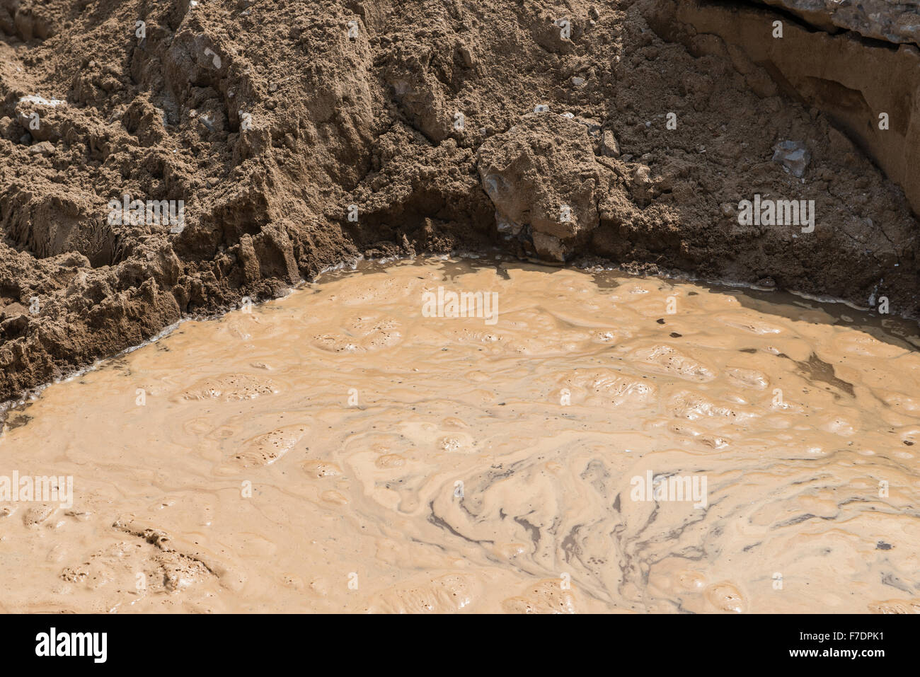corner of dirty water pond Stock Photo - Alamy