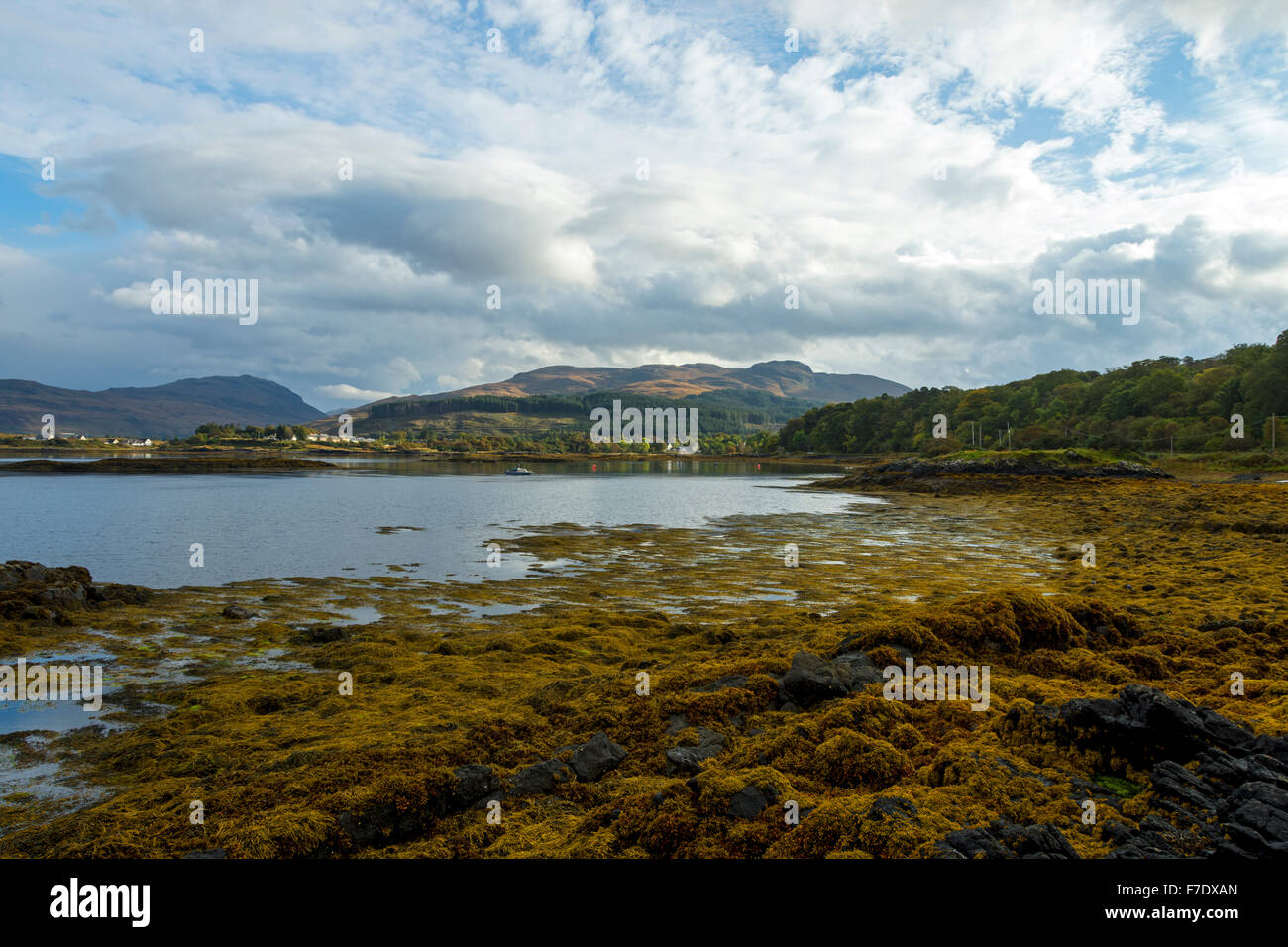 Salen Bay on the Sound of Mull, near Salen, Isle of Mull, Highland Region, Scotland, UK Stock Photo