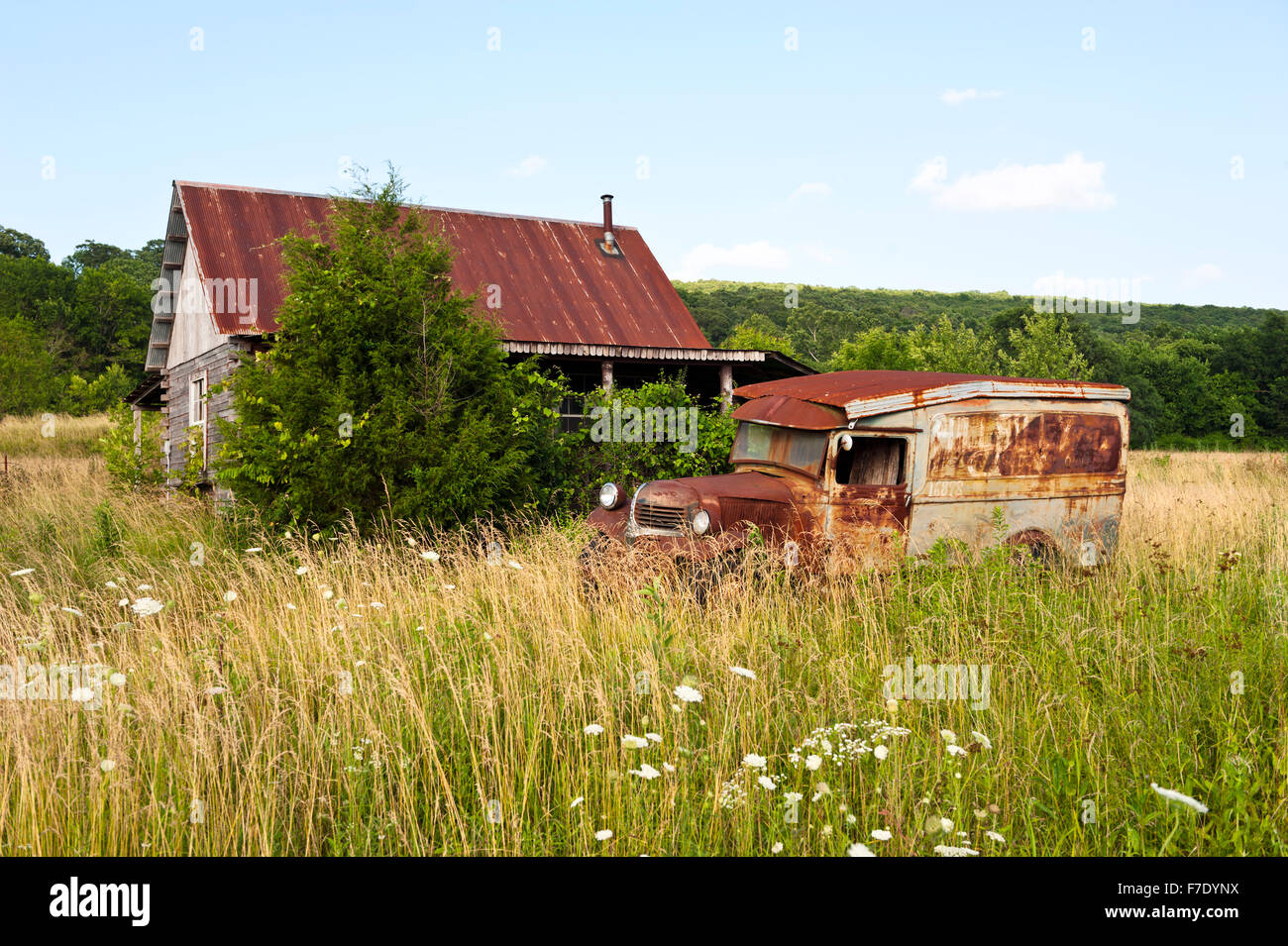 A rusty old truck and farmhouse in an overgrown grass field Stock Photo