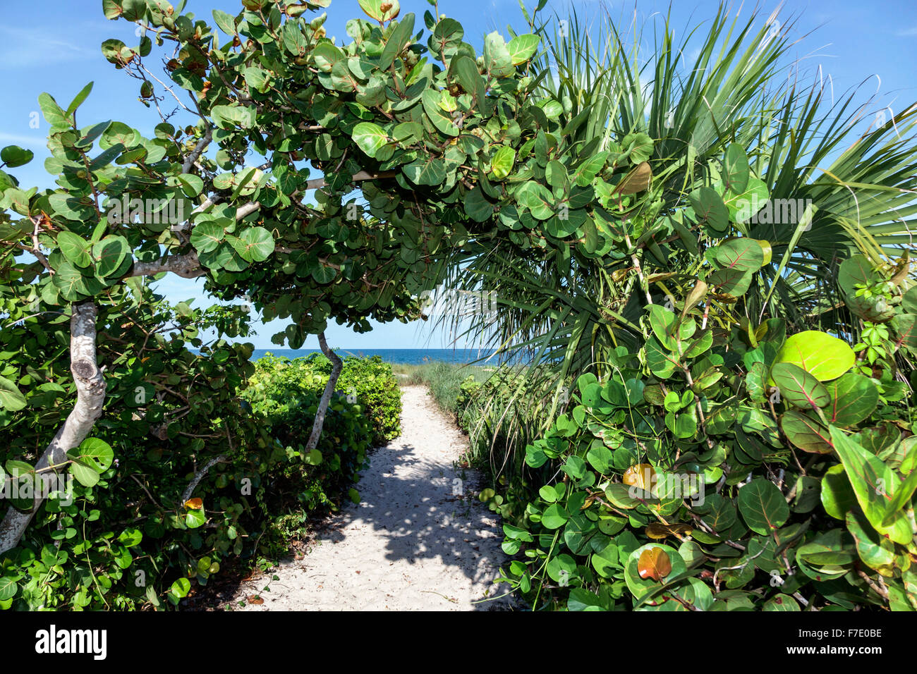 Vero Beach Florida,North Hutchinson Orchid Island public path Stock Photo