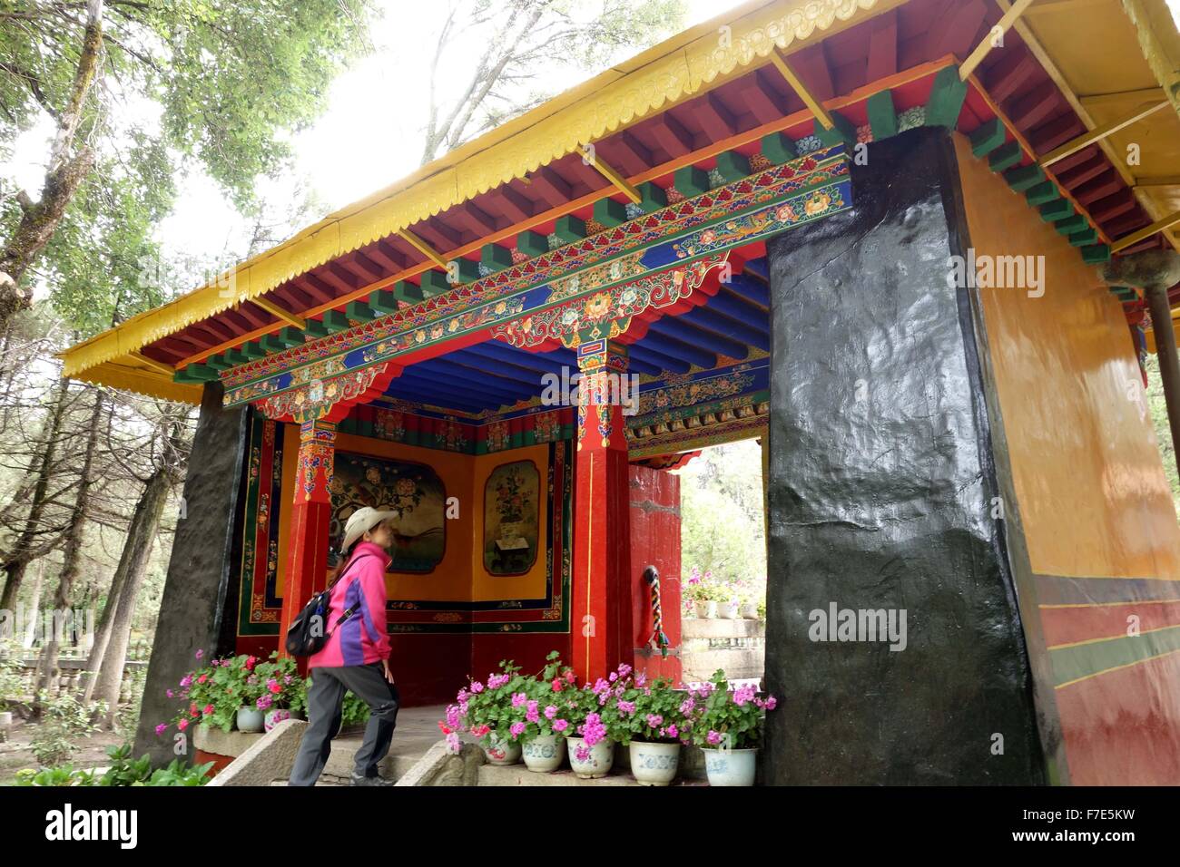 Lhasa, Tibet, CHN. 8th July, 2015. Lhasa, CHINA - July 8 2015 ...