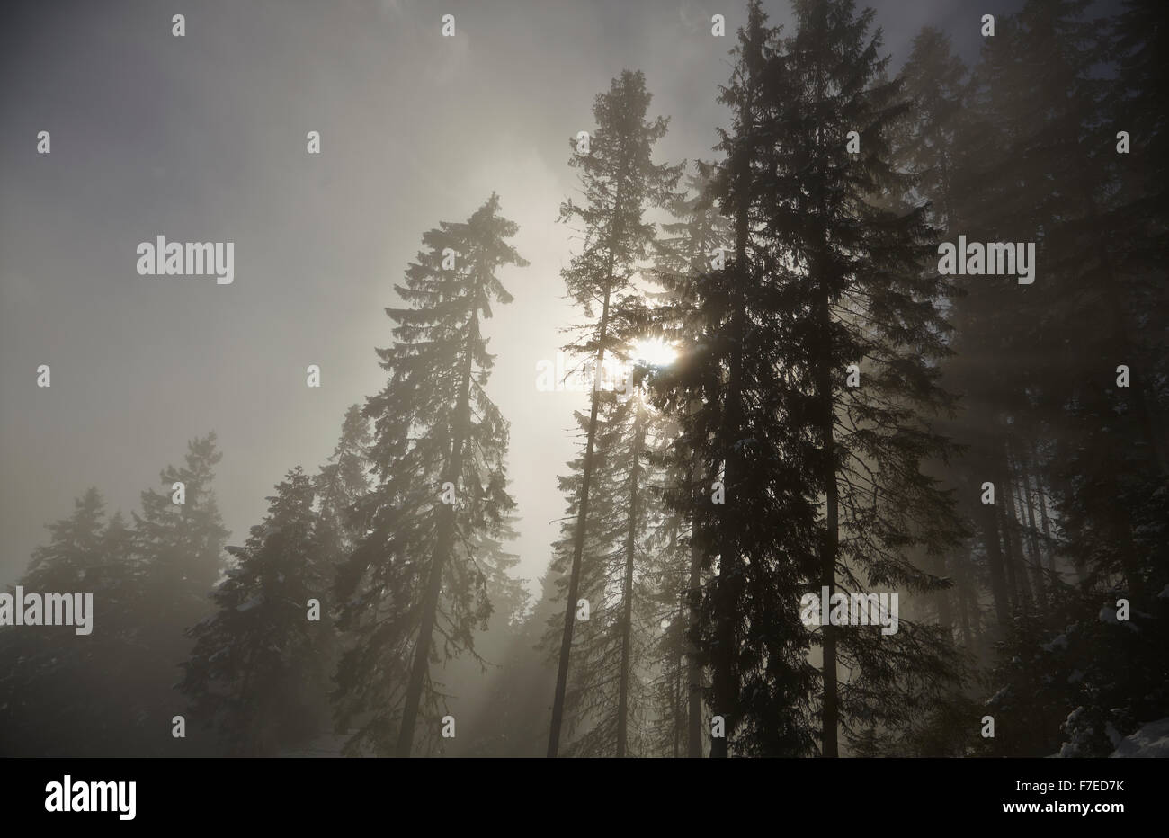 Snow beams hires stock photography and images Alamy