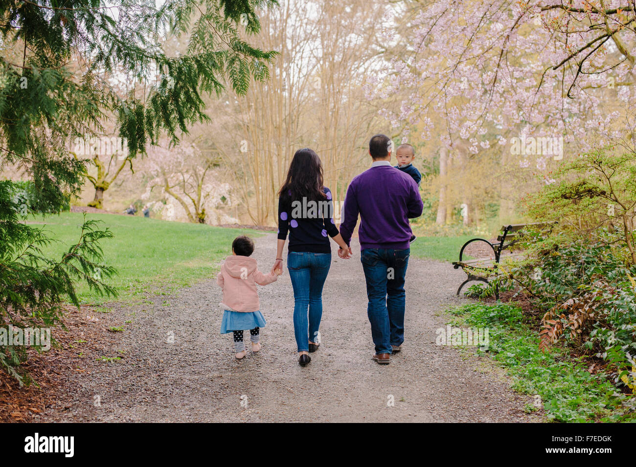 USA, Rear view of family with two children (2-3) in park Stock Photo